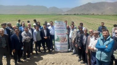 برگزاری رویداد ترویجی–آموزشی «پتانسیل عملکرد با رویکرد اصلاح الگوی کشت» با تاکید بر گندم و چغندرقند