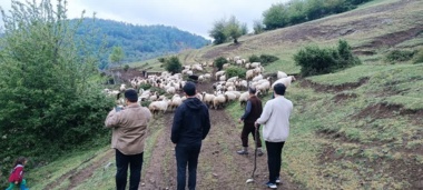 ارتقای دانش دامداران با رویکرد علمی