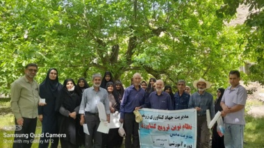 در راستای ارتقای دانش کشاورزان شهرستان زرند استان کرمان؛