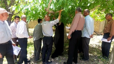برگزاری کارگاه آموزشی مبارزه با آفت کرم خراط در روستای گریک