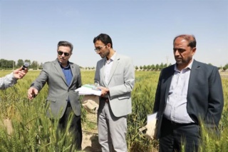 ضرورت تقویت نیروی انسانی به منظور افزایش اثربخشی دستاورد ها در بخش تحقیقات کشاورزی