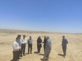 تحول در صنعت دامپروری ایلام با دانش‌بنیان کردن پرورش شتر در دهلران