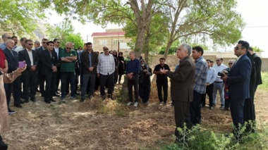 گذار از کشاورزی سنتی به مدیریت هوشمند خاک؛ ضرورتی برای مزارع لرستان