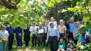 محتوای غنی از بیماری‌ها تا تغذیه گیاهی