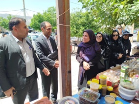 بازدید مدیرکل دفتر توسعه فعالیتهای کشاورزی زنان روستایی از طرح‌های نوآورانه در ایلام