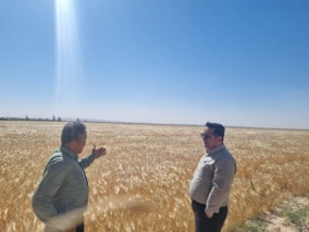 بازدید تخصصی مدیران مرکز از گرمسار و آرادان با محور ارتقای بهره‌وری، توسعه زیرساخت‌ها و تقویت رویکردهای فناورانه