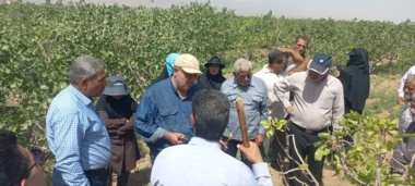 در راستای ارتقای دانش فنی بهره‌برداران و آشنایی با روش‌های نوین باغداری  رویداد «روز مزرعه» برگزار شد.