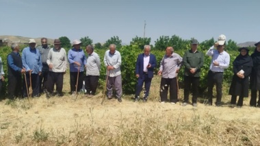 برگزاری رویداد آموزشی - ترویجی روز مزرعه با حضور محققین در شهرستان خرم‌آباد