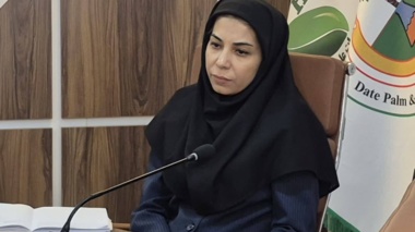 حضور بروجردنیا معاون پژوهشی پژوهشکده خرما و میوه‌های گرمسیری در نشست تخصصی خرمای استان خوزستان