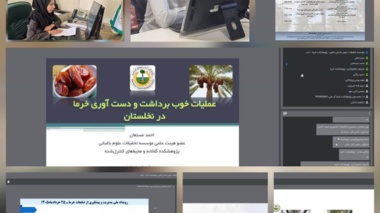 برگزاری رویداد ملی مدیریت و پیشگیری از ضایعات خرما در پژوهشکده خرما و میوه‌های گرمسیری