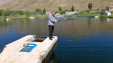 پروژه بررسی تأثیر مکانیزاسیون در مزارع پرورش ماهی قزل‌آلا