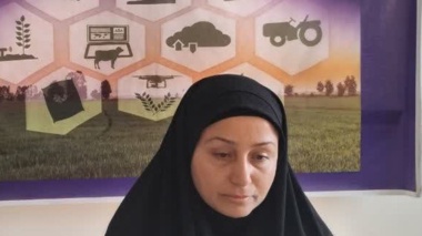 جلسه نخست وبینار آموزشی «آموزش اثربخش و اثربخشی آموزش» برگزار شد