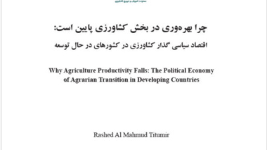 کتاب چرا بهره وری در بخش کشاورزی پایین است: اقتصاد سیاسی گذار کشاورزی در کشورهای در حال توسعه