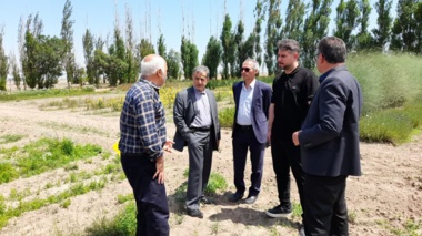 نقش‌آفرینی «پایگاه سامیان» در حفاظت از تنوع زیستی و توسعه فناوری‌های گیاهان دارویی