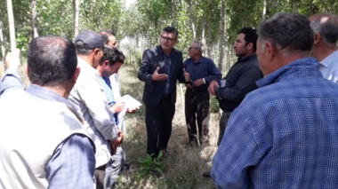 کارگاه آموزشی «زراعت چوب» در اردبیل برگزار شد/ تأکید بر کاهش فشار بر جنگل‌های طبیعی