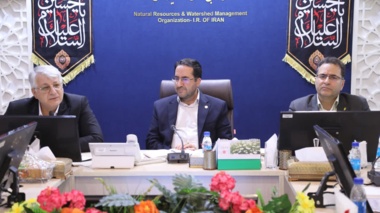شورای راهبردی، باید به مرجع سیاست‌گذاری کلان منابع طبیعی تبدیل شود