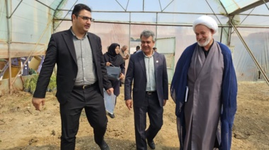 بازدید اعضای کمیته برنامه‌ریزی آموزش های مهارتی مددجویان زندان استان مرکزی از گلخانه‌های کشاورزی بنیاد تعاون زندانیان