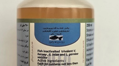 موفقیت شعبه شیراز موسسه رازی در ساخت نخستین واکسن سه‌گانه آبزیان کشور؛ پروانه تولید صادر شد