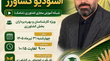 تاب‌آوری اجتماعی؛ حلقه پیوند دانش، مشارکت و پایداری در کشاورزی