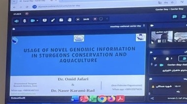گام بلند انستیتو تحقیقات بین‌المللی ماهیان خاویاری در تدوین شناسنامه ژنومی ماهیان خاویاری ایران