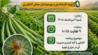پخش برنامه «استودیو کشاورز» با محوریت راهکارهای نوین شناسایی و مدیریت کنه تارتن در مزارع لوبیا