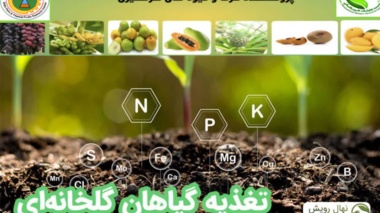برگزاری دوره آموزشی «تغذیه محصولات گلخانه‌ای در کشت‌های خاکی»