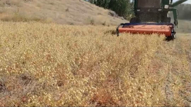 رهایی از سختی ها و کاهش هزینه های تولید