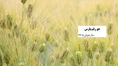 پارس رقمی نوین در ویترین کشاورزی ایران