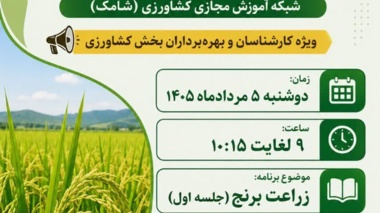 «زراعت برنج» روی آنتن شامک رفت؛ انتقال دانش کاربردی از زبان مدرس مرکز تات لرستان