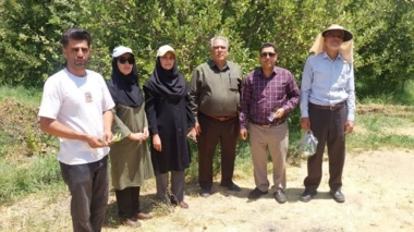 از ارزیابی فنی تا معرفی الگو؛ باغ سیب آموزگار در مسیر نمونه شدن