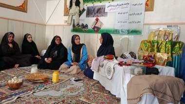 کارگاه آموزشی توانمندسازی زنان روستایی در شهرستان زابل