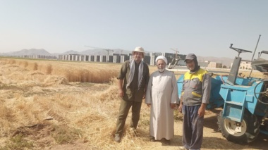 بازدید مسئول دفتر نمایندگی ولی‌فقیه در مرکز از آزمایش‌های به‌نژادی غلات و روند معرفی ارقام جدید گندم و جو