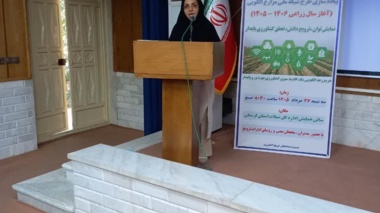 پر کردن شکاف ۴۰ تا ۵۰ درصدی عملکرد مزارع با رویکرد «دانش‌بنیان» / تأکید بر هم‌افزایی ارکان ترویج برای جهش تولید