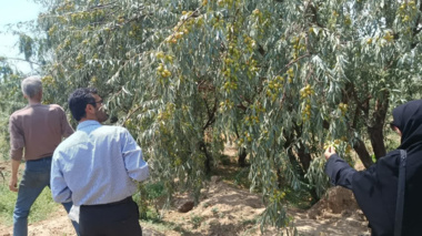 برگزاری نشست تخصصی محققین معین مرکز با کارشناسان کشاورزی بسطام