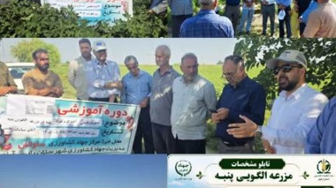 کارگاه آموزشی مبارزه تلفیقی با آفات پنبه برگزار شد