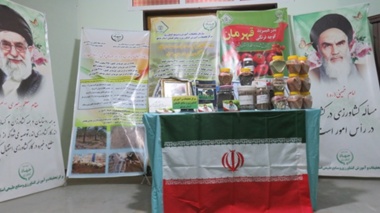 برگزاری نمایشگاه دستاوردهای پژوهشی مرکز تحقیقات بوشهر همزمان با هفته دولت