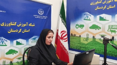 برگزاری برنامه آموزشی «ارتقای بهره‌وری در زراعت کلزا» در شبکه آموزش کشاورزی کردستان