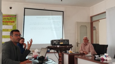 برگزاری دوره آموزشی کنترل آفات و بیماری‌های گلخانه‌ای در شاهرود هم‌زمان با هفته دولت
