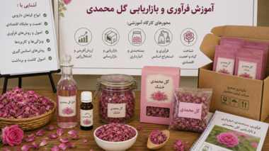آموزش فرآوری و بازاریابی گل محمدی به زندانیان سمنان
