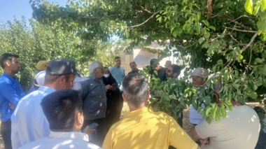 برگزاری کارگاه عملی  دوره هرس، پیوند و سرشاخه‌کاری در روستای بازنه شهرستان شازند