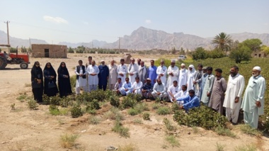 دوره آموزشی و بازدید از مزرعه الگویی پنبه در روستای چاه شهی از توابع شهرستان خاش