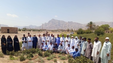 برگزاری کارگاه آموزشی ـ ترویجی  مدیریت مزارع پنبه در اولین مزرعه الگویی پنبه در شهرستان خاش سیستان و بلوچستان