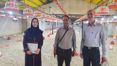 بازدید از واحدهای پرورش مرغ گوشتی شهرستان شازند برای جمع‌آوری داده‌های انرژی