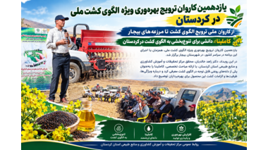 کاملینا در مسیر تنوع‌بخشی به الگوی کشت