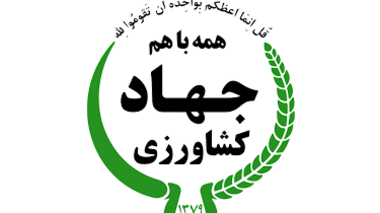 از شوک ارزی تا سایه جنگ؛ عبور امنیت غذایی ایران چگونه از یک آزمون سخت