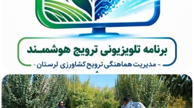نسخه علمی برای جهش تولید در مزارع دیم؛ توصیه‌های فنی محقق ارشد غلات دیم مرکز تحقیقات کشاورزی لرستان برای ارتقای عملکرد گندم