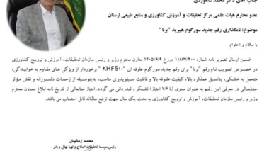 معرفی رقم جدید سورگوم هیبرید بُرنا توسط محمد شاهوردی عضو هیئت علمی مرکز تحقیقات و آموزش کشاورزی و منابع طبیعی لرستان