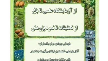 از پژوهش تا باغ؛ آینده بادام چهارمحال و بختیاری در مسیر دانش و امید
