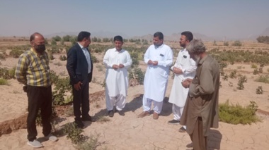 بازدید کارگروه یاوران تولید از مزارع منطقه کلکلی شهرستان خاش
