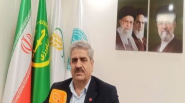ظرفیت جایگزینی بیش از ۳.۵ میلیون تن ذرت با منابع خوراکی داخلی فراهم شد